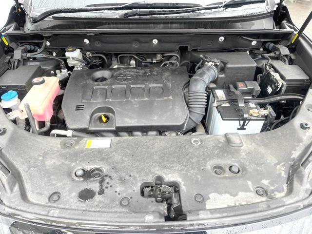 24849236_carP_l_12.jpg