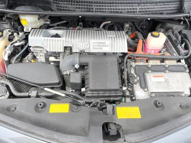 24849237_carP_l_16.jpg