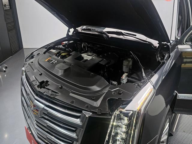 cab91f6073710221c4ef389d3d8085a4.jpeg