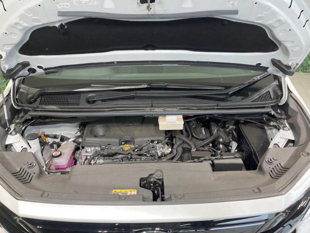 24541988_carP_l_20.jpg