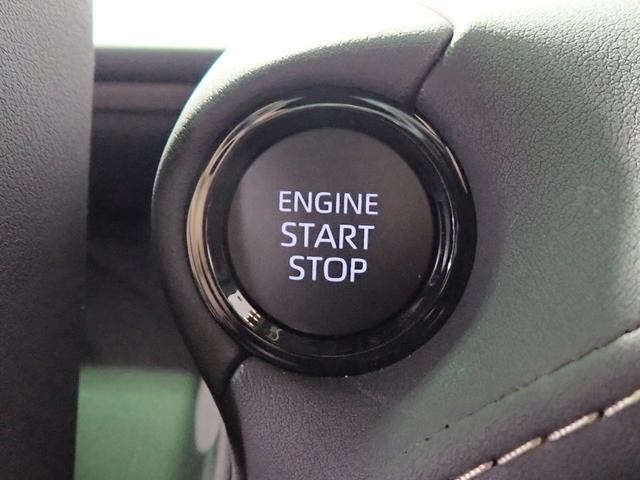 0230024A30260724W00214.jpg