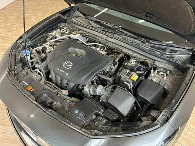 6300790A20260815D00513.jpg