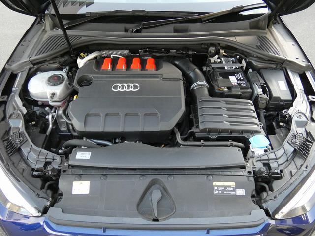 23635012_carP_l_6.jpg