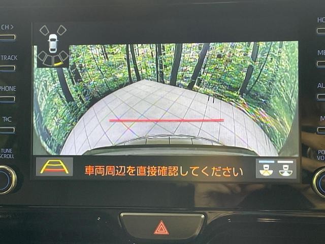 26023326_carP_l_4.jpg