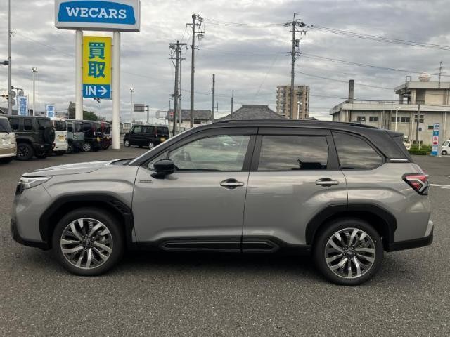 26535130_carP_l_3.jpg