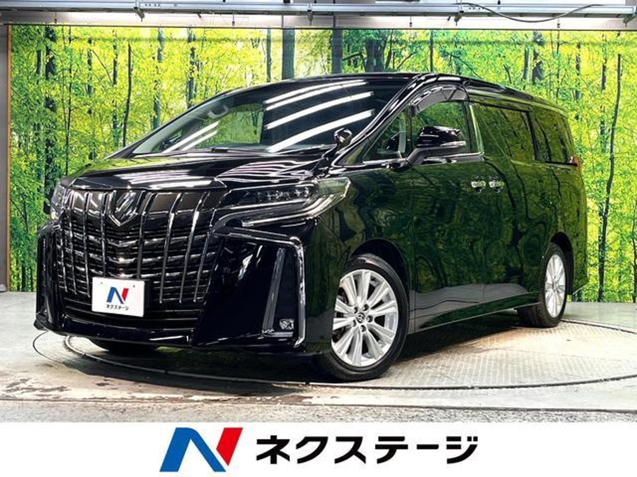 2019 Toyota Alphard, photo 1 of 1