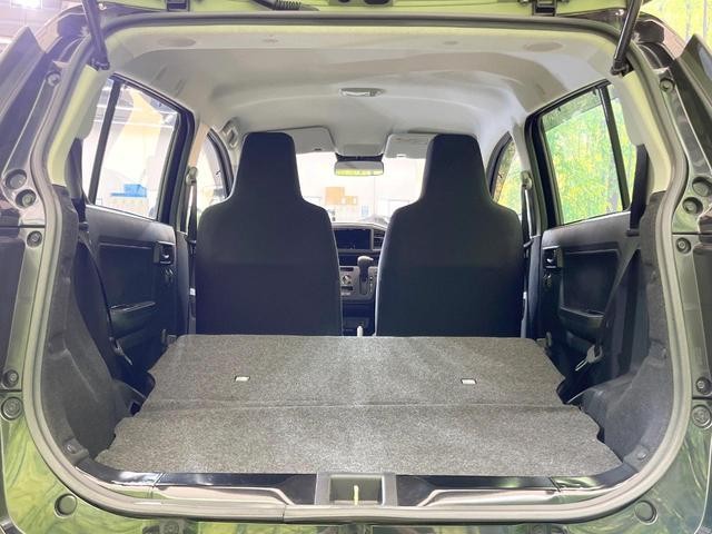 26022896_carP_l_2.jpg
