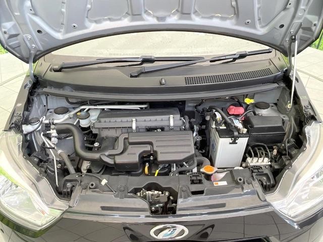 26022896_carP_l_9.jpg
