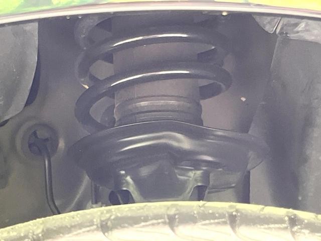26022898_carP_l_12.jpg