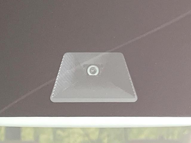 26022898_carP_l_15.jpg
