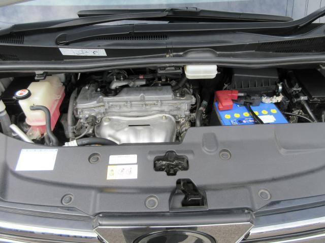 24682062_carP_l_18.jpg