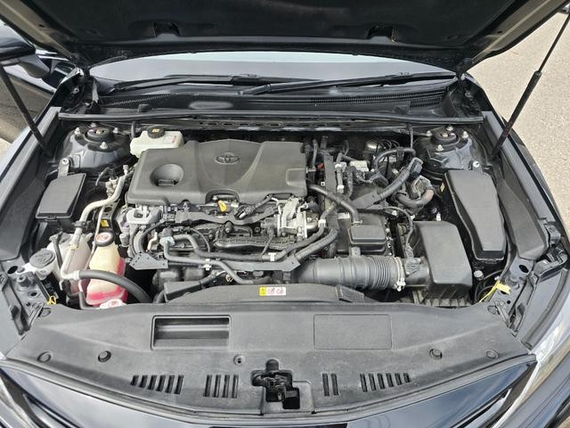 0221363A30260611W00116.jpg