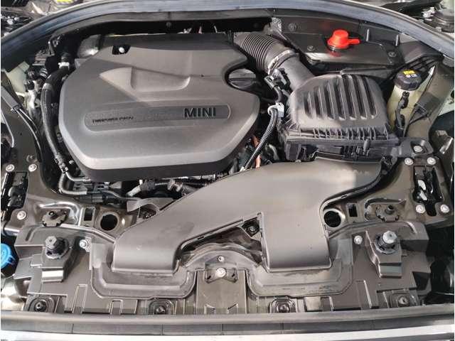 24685400_carP_l_6.jpg