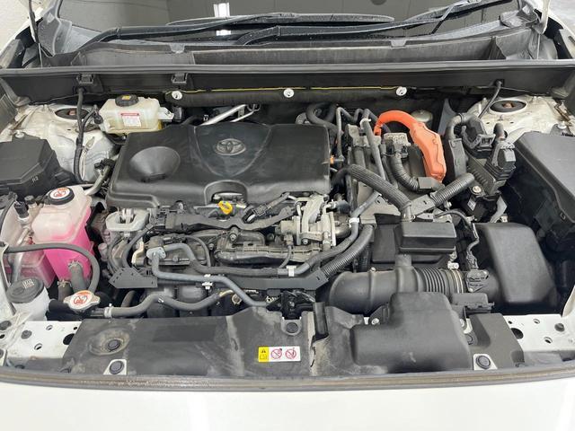 24849278_carP_l_16.jpg