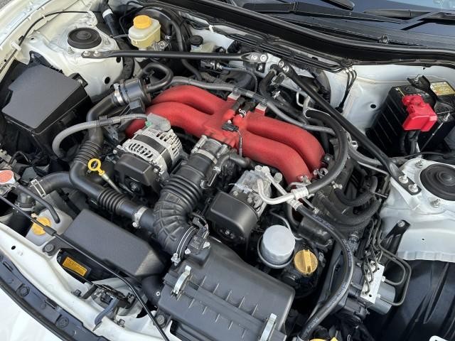 27009632_carP_l_20.jpg