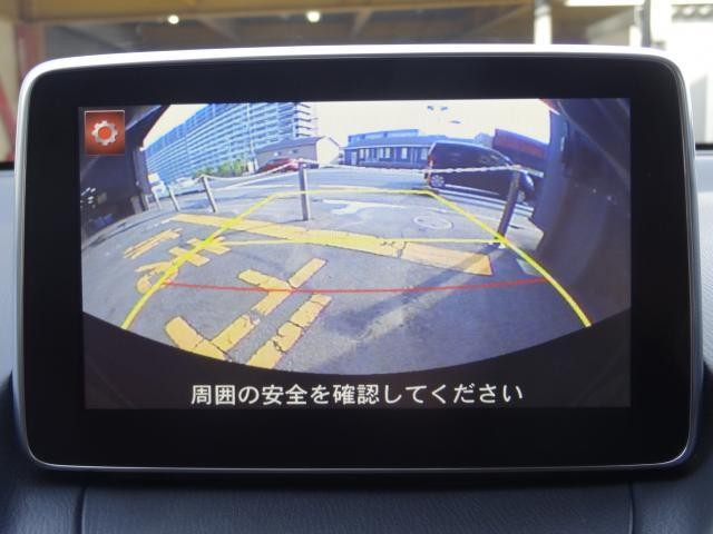 25577176_carP_l_17.jpg