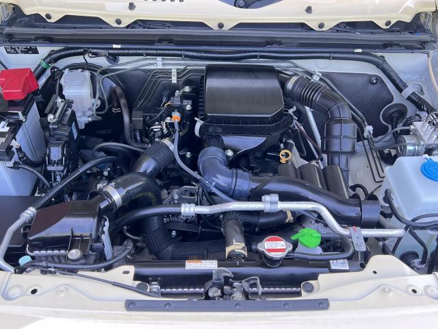 24979373_carP_l_20.jpg