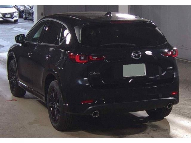 26408450_carP_l_14.jpg