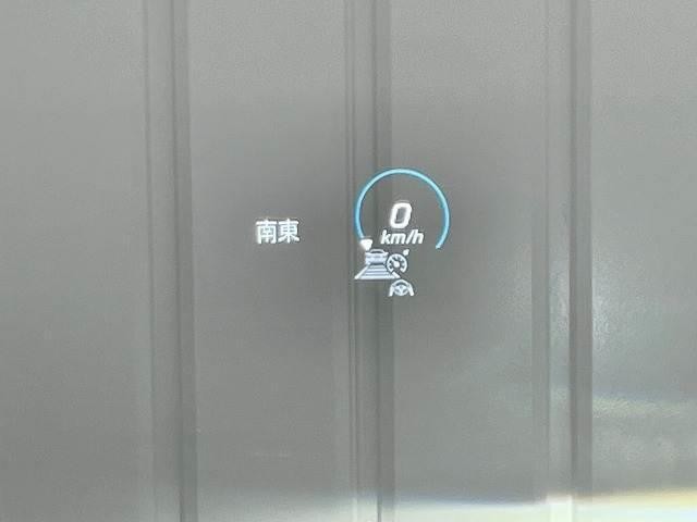24233614_carP_l_10.jpg
