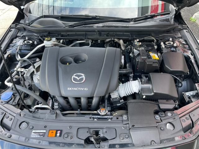 0510855A30261012W00118.jpg