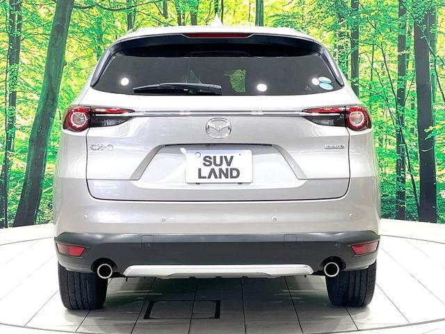 24542163_carP_l_16.jpg