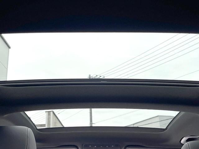 25611672_carP_l_4.jpg