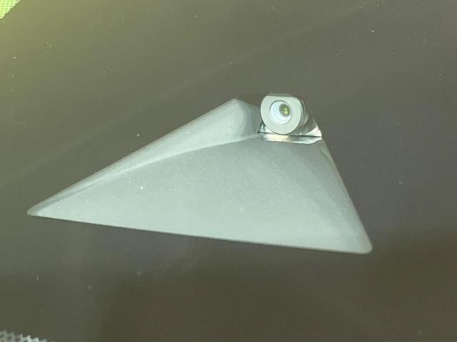 24849311_carP_l_4.jpg