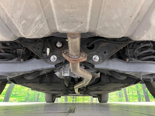 26022964_carP_l_20.jpg