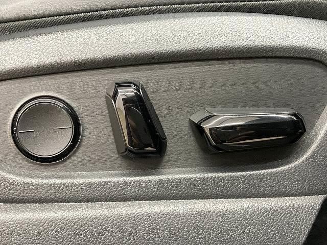 25729052_carP_l_19.jpg