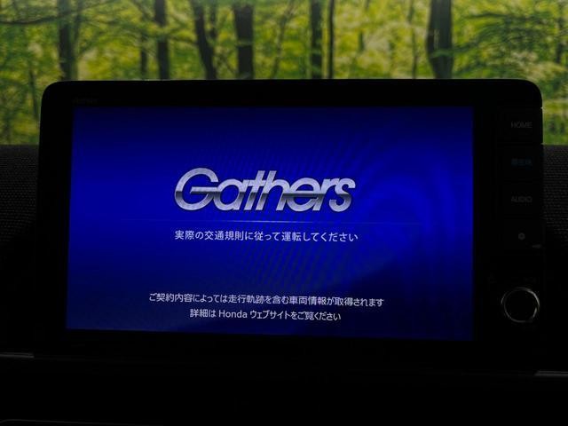 26022974_carP_l_15.jpg