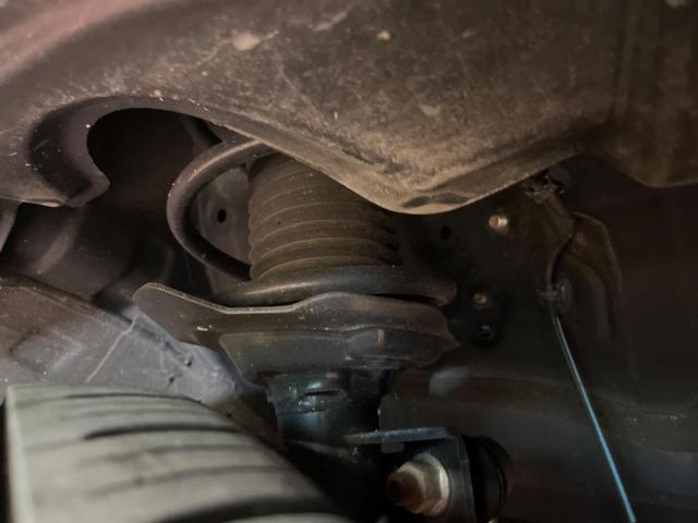 24685687_carP_l_20.jpg