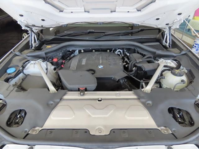 25577187_carP_l_9.jpg