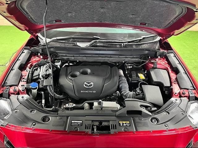 0207973A20260911D01313.jpg