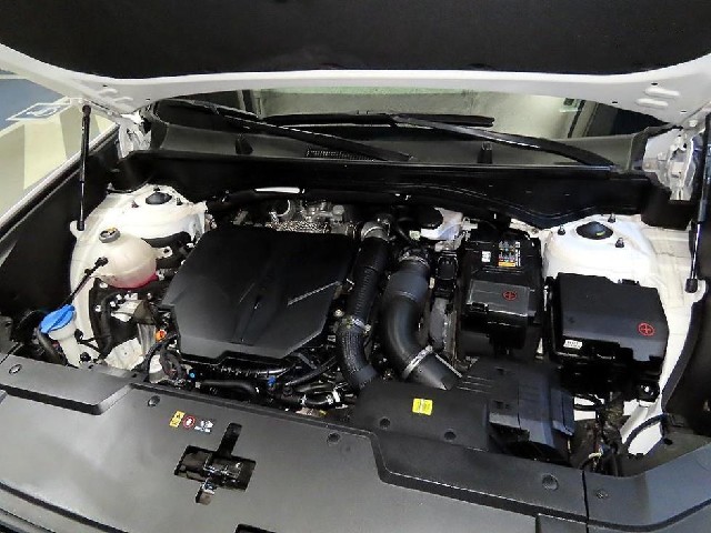 c0fca46e82330376a9e1a59c93219869.jpeg