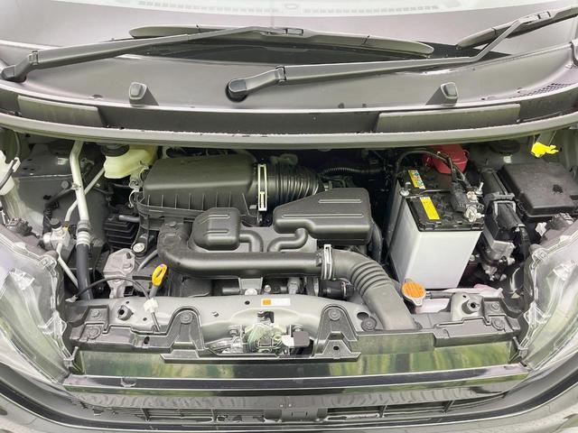 24849394_carP_l_12.jpg