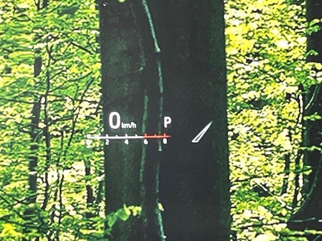 26425762_carP_l_17.jpg