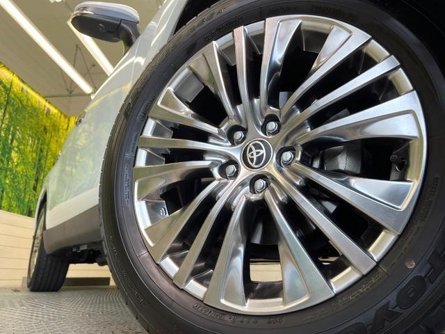 25611821_carP_l_9.jpg