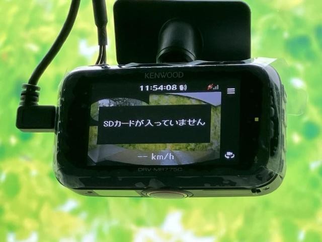 24876419_carP_l_7.jpg