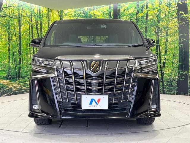 26556557_carP_l_9.jpg