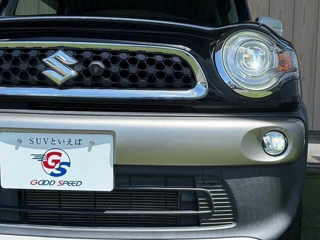 25729067_carP_l_20.jpg