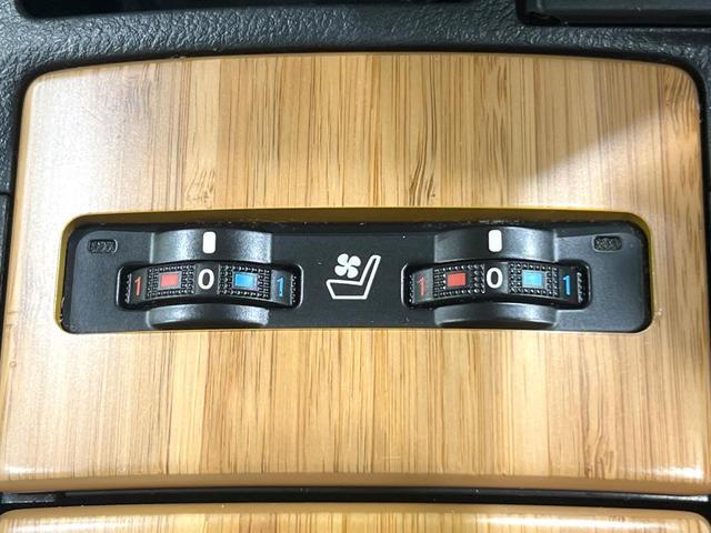 24685930_carP_l_13.jpg