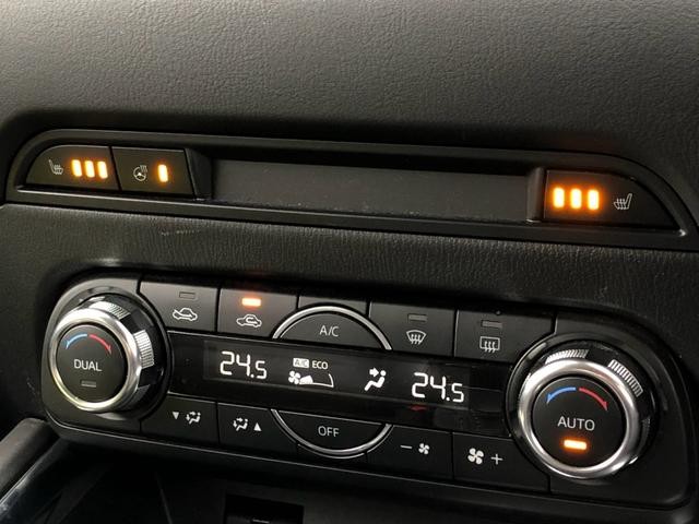 0700708A30261025W00211.jpg
