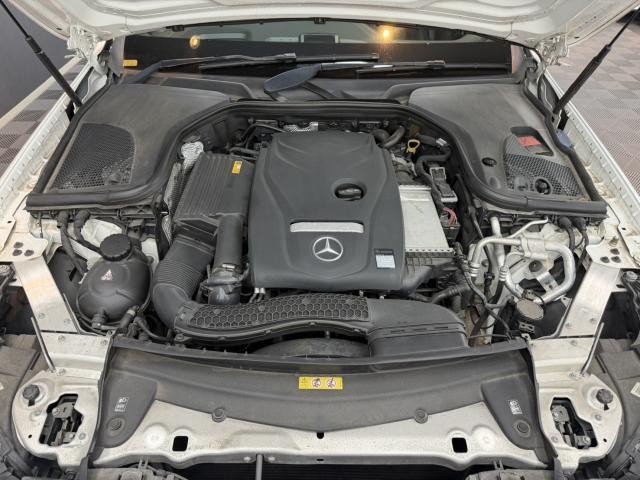 26924349_carP_l_6.jpg