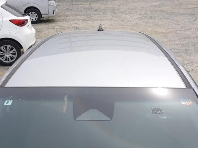 25947569_carP_l_14.jpg