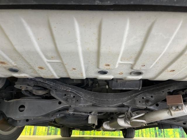 26556522_carP_l_20.jpg