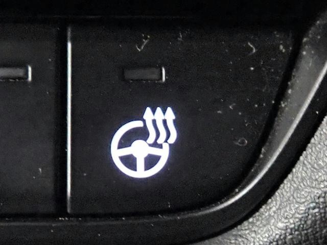 0204644A30261018W00315.jpg