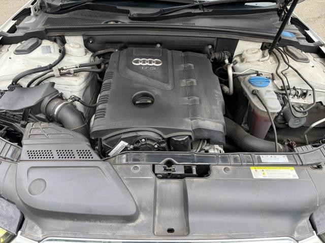 26257510_carP_l_17.jpg