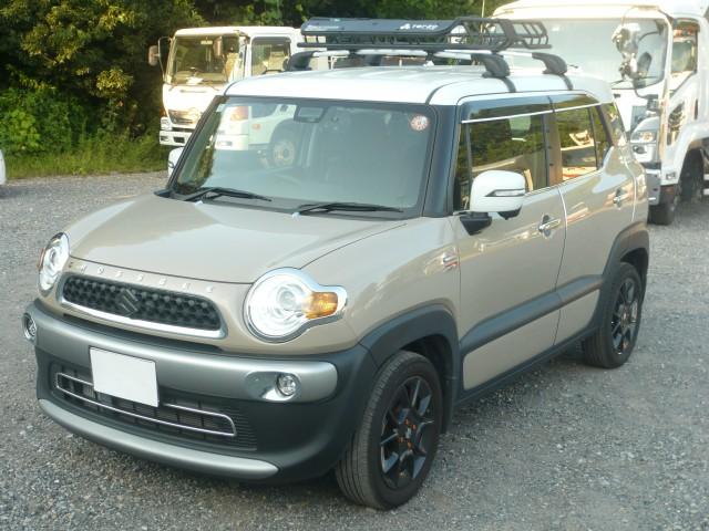 26028367_carP_l_1.jpg