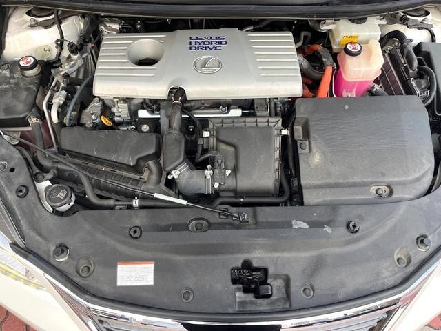 25035486_carP_l_16.jpg