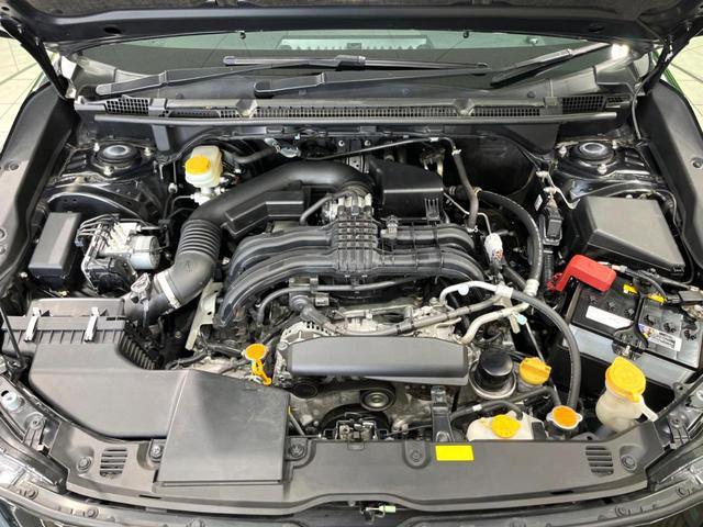 24849477_carP_l_16.jpg